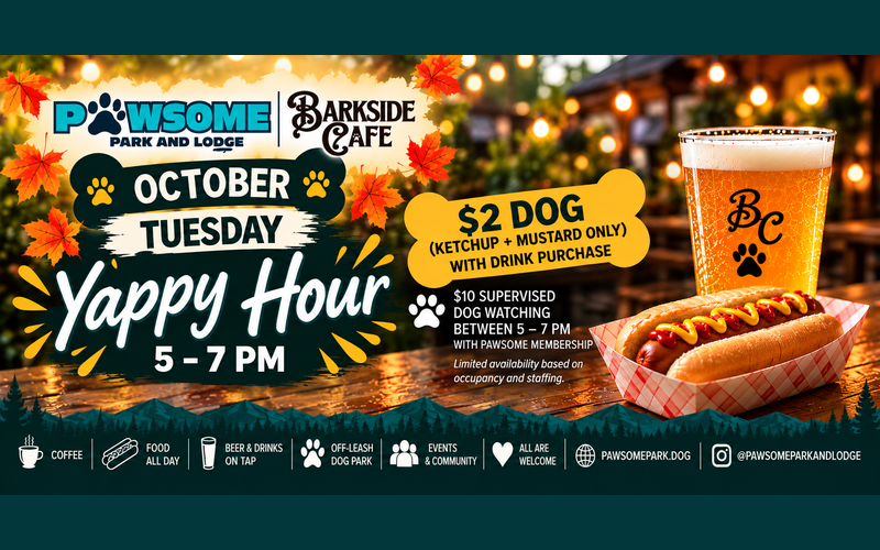 Paws & Pencils Thursdays at Barkside Cafe, Pawsome Park and Lodge